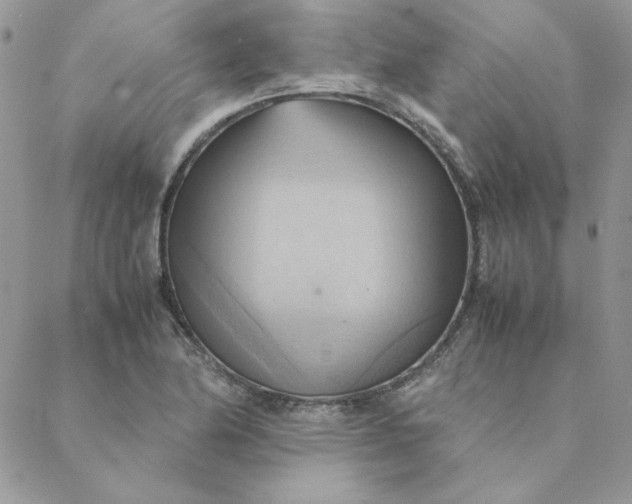 X0000088741174200706141656