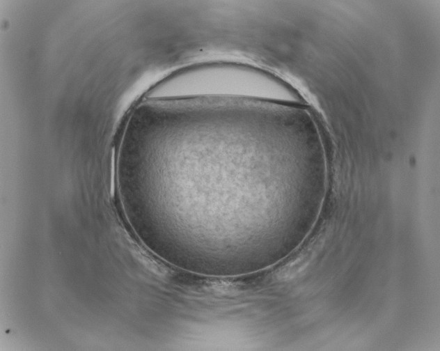 X0000088741175200706141656