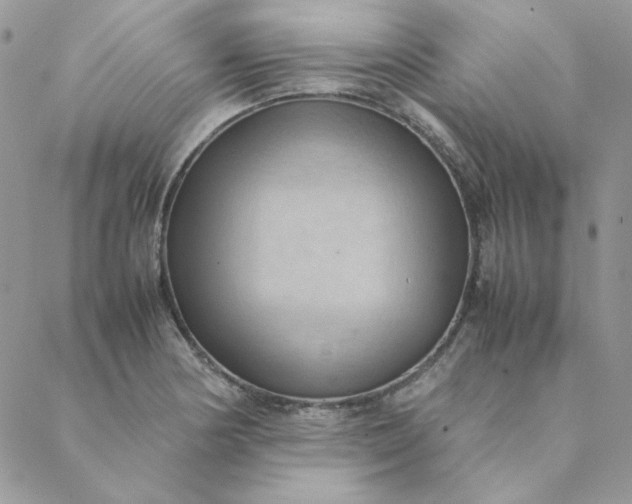 X0000088741178200706141655