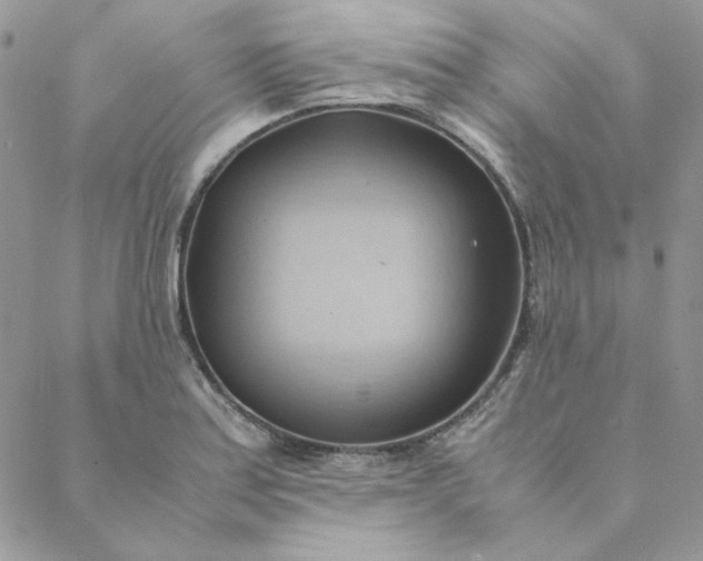 X0000088741179200706141655