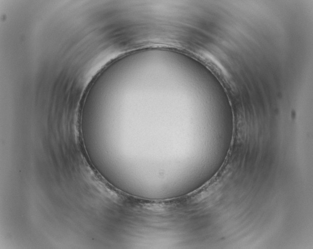 X0000088741182200706141655