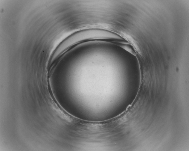 X0000088741184200706141655