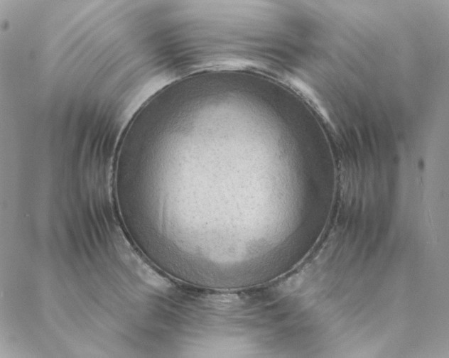 X0000088741186200706141655