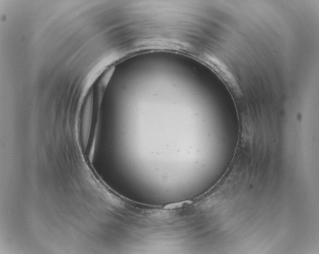X0000088741188200706141655