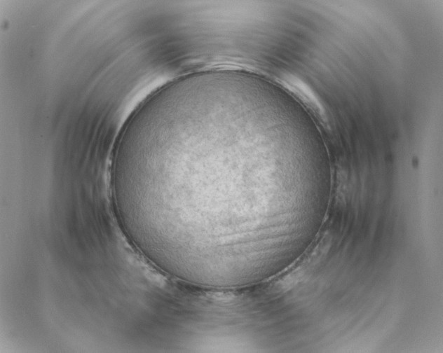 X0000088741190200706141655