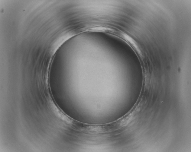 X0000088741194200706141655