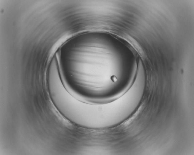 X0000088741196200706141655