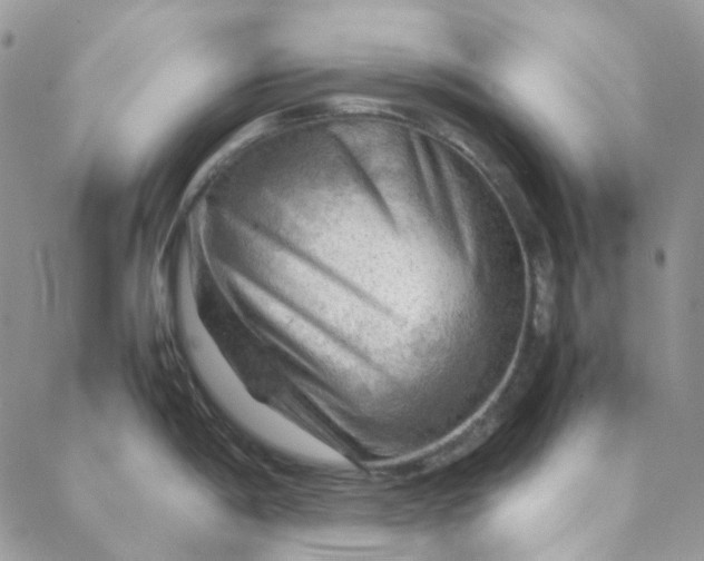 X0000088741198200706141655