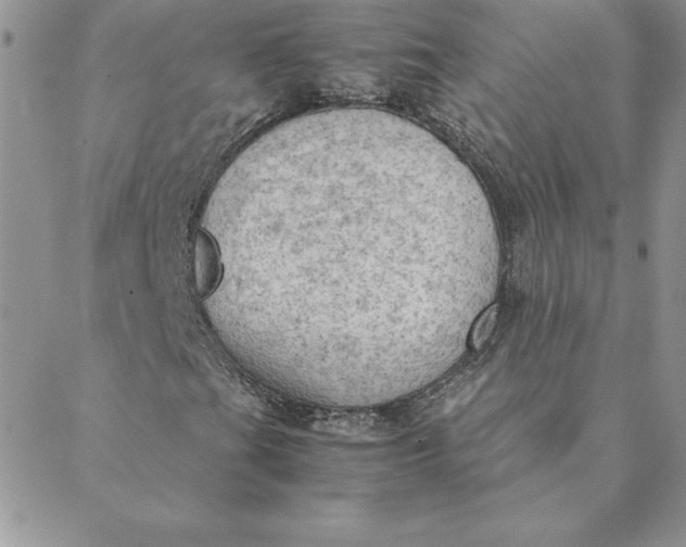 X0000088741201200706141654