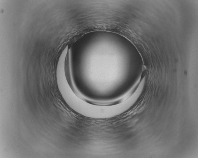 X0000088741202200706141654