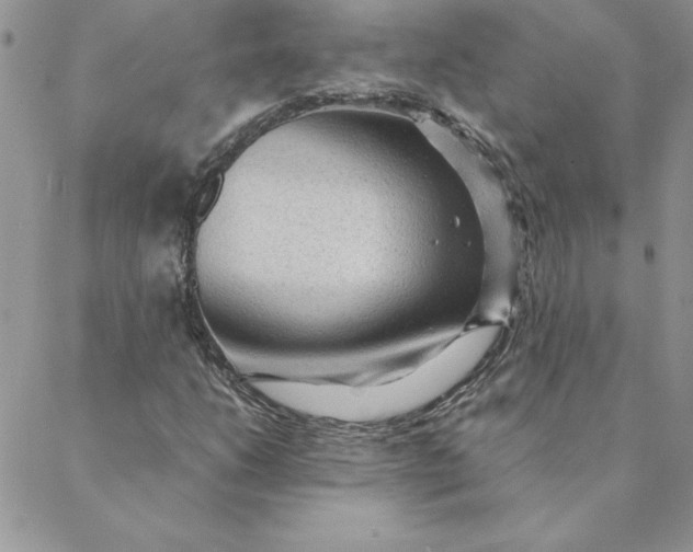 X0000088741206200706141654