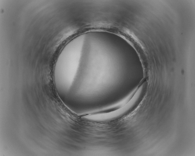 X0000088741213200706141655