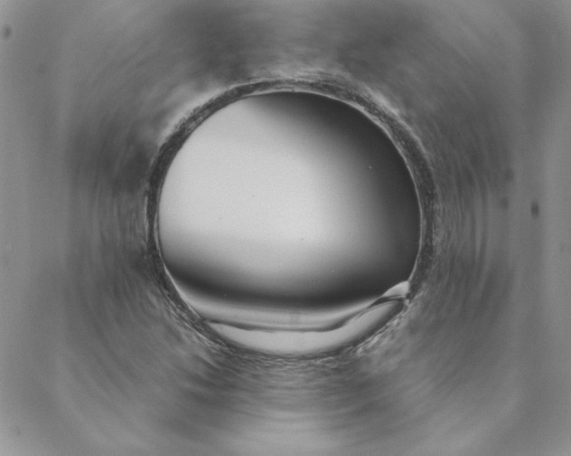 X0000088741214200706141655