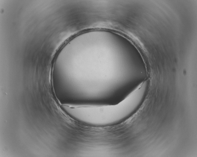 X0000088741224200706141655