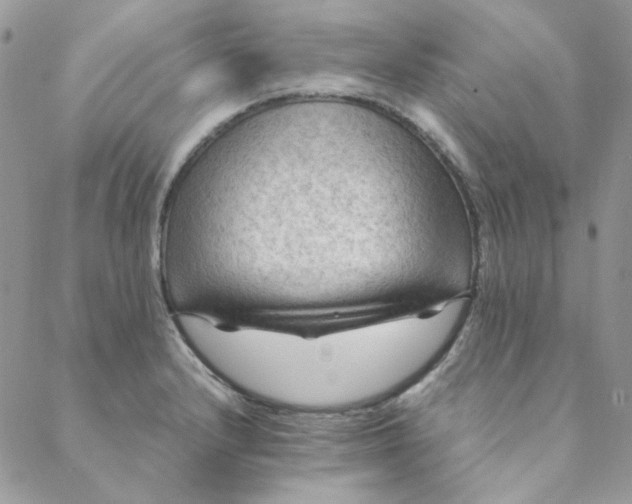 X0000088741232200706141655