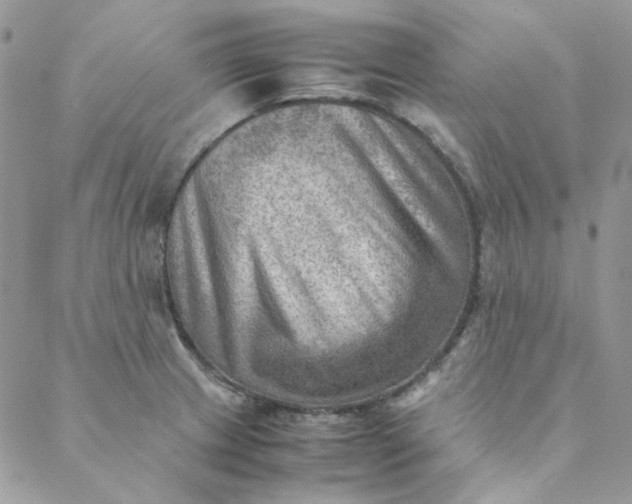 X0000088741233200706141655