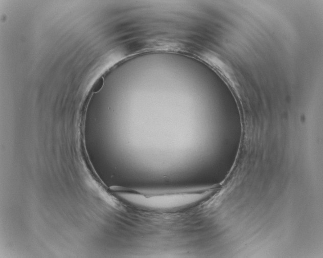 X0000088741235200706141655