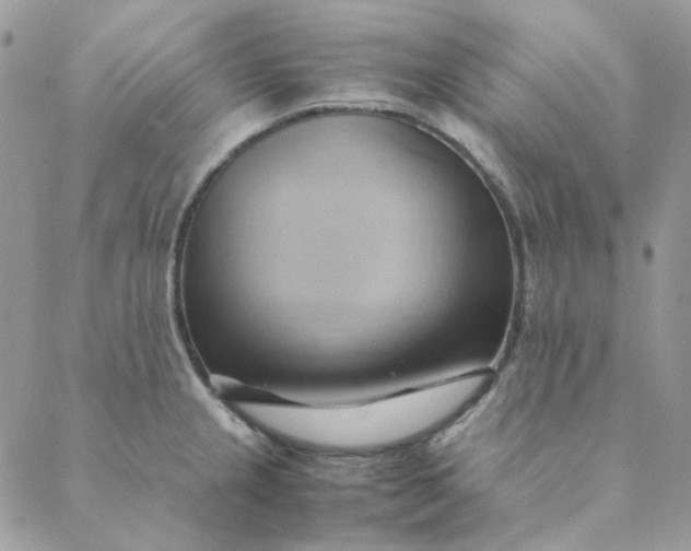 X0000088741237200706141655