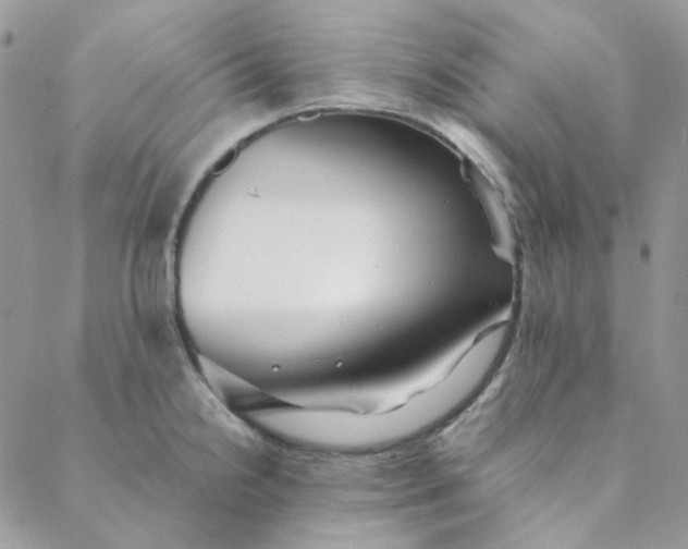 X0000088741238200706141655