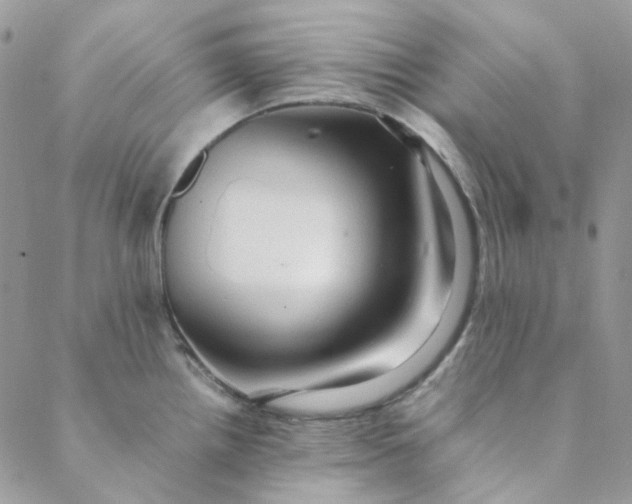 X0000088741242200706141655