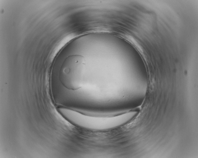 X0000088741243200706141655
