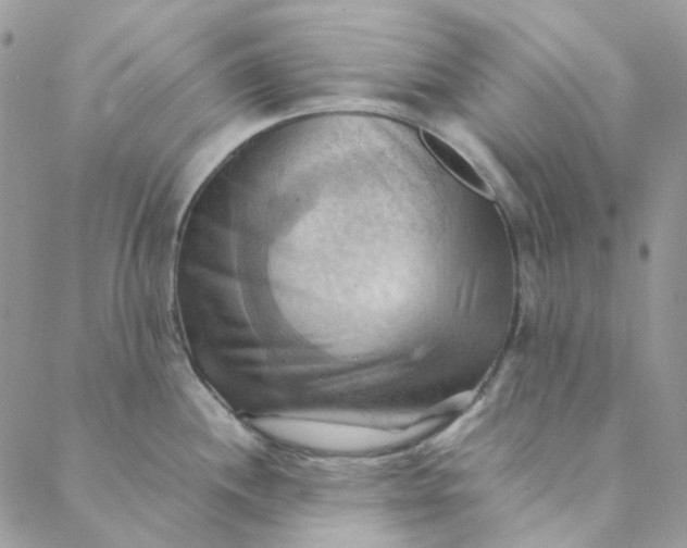 X0000088741244200706141655