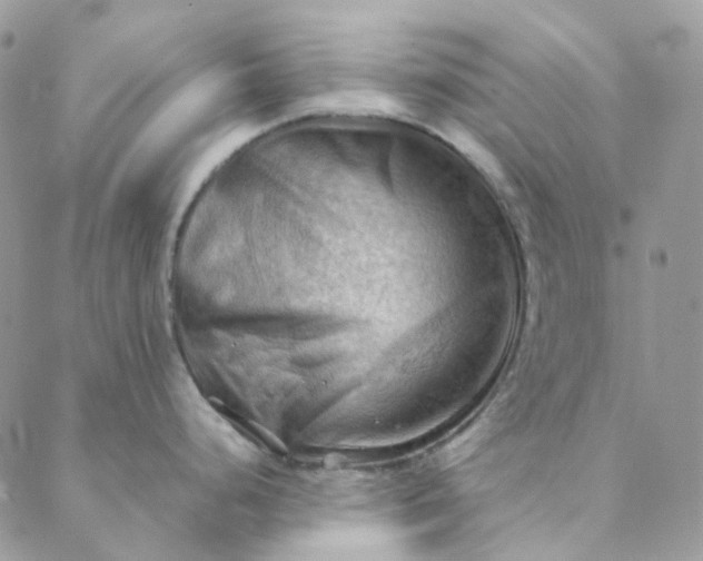 X0000088741248200706141655