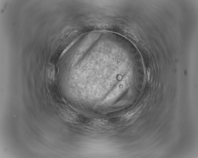X0000088741251200706141654