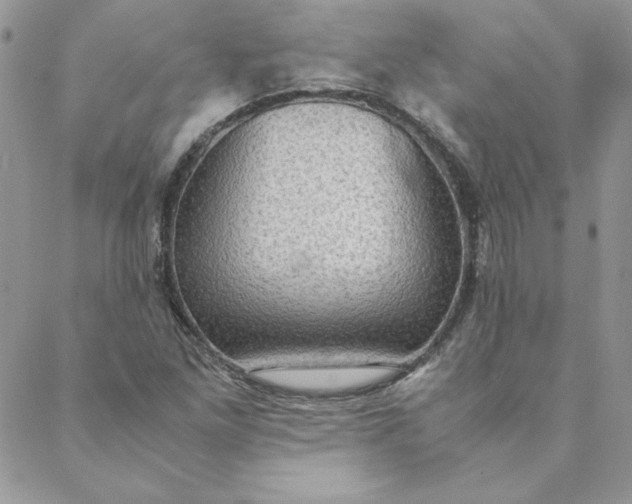 X0000088741261200706141654
