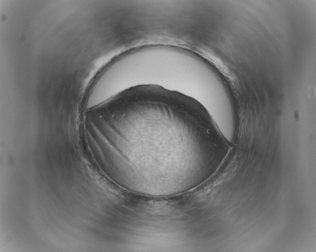 X0000088741264200706141654