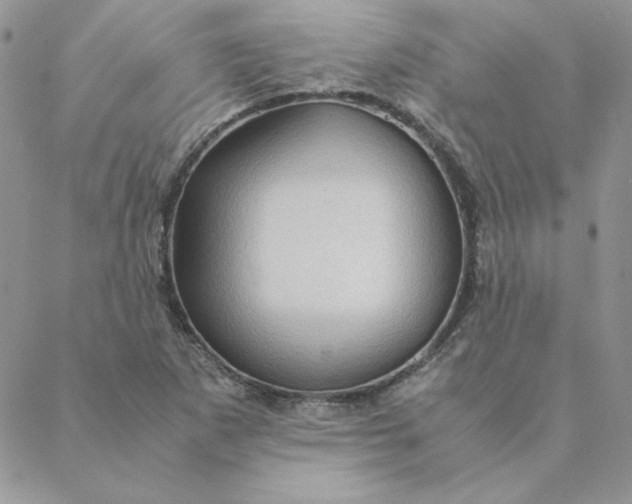 X0000088741265200706141654