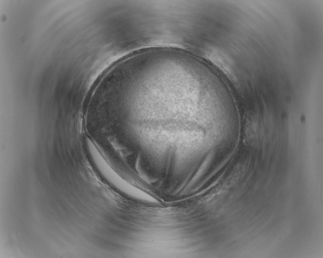 X0000088741268200706141654