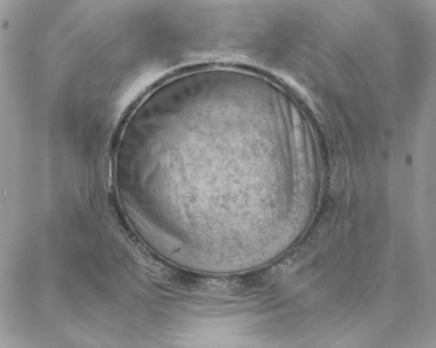 X0000088741271200706141654