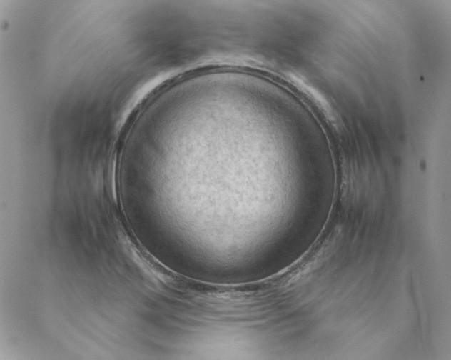 X0000088741272200706141654