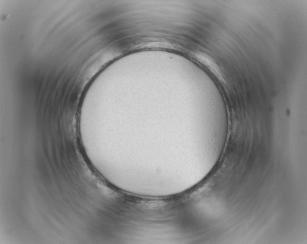 X0000088741282200706141654