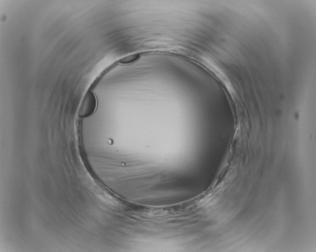 X0000088741291200706141654