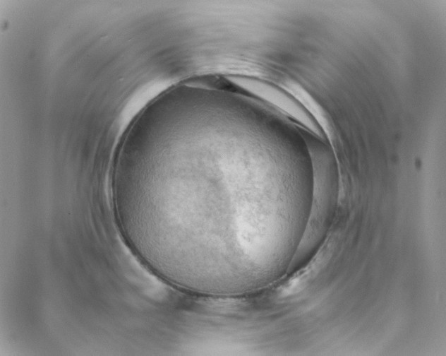 X0000088741293200706141654