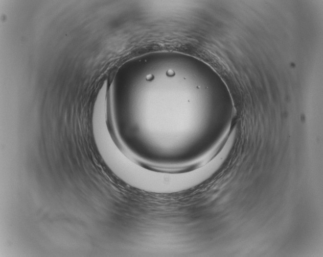 X0000088741298200706141653
