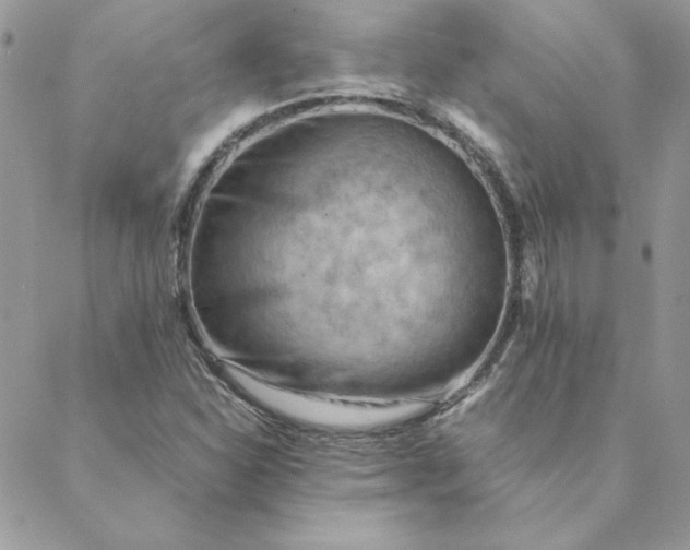 X0000088741310200706141653