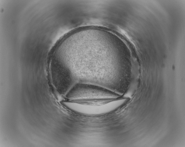 X0000088741312200706141653