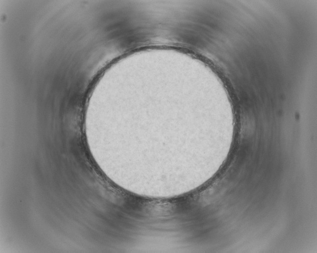 X0000088741314200706141653