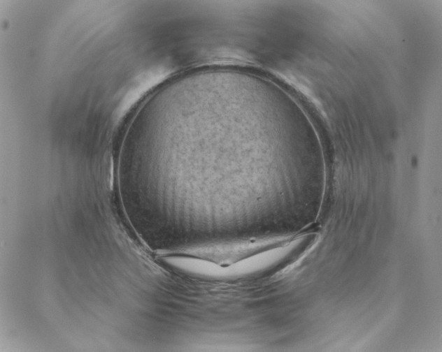 X0000088741317200706141653