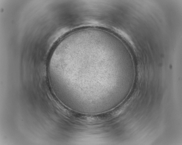 X0000088741318200706141653