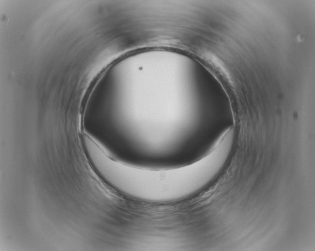 X0000088741324200706141653