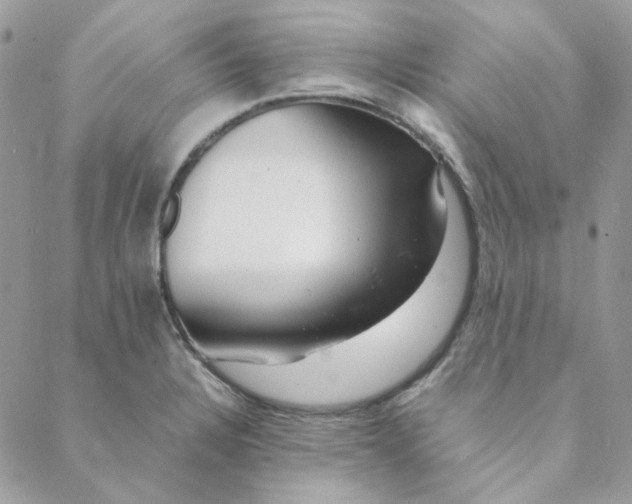 X0000088741328200706141653