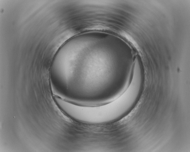 X0000088741329200706141653