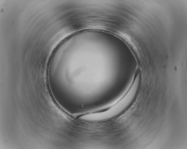 X0000088741331200706141653