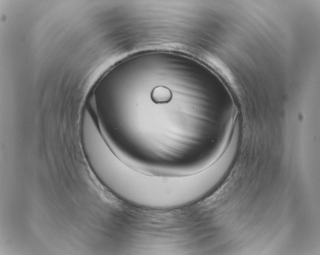 X0000088741332200706141653
