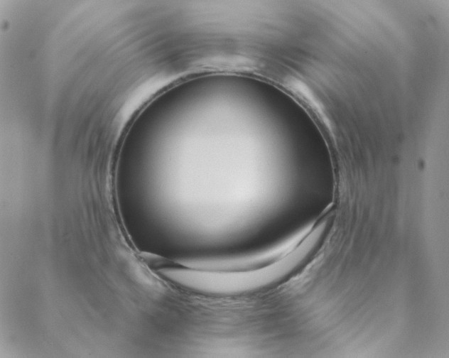X0000088741336200706141653