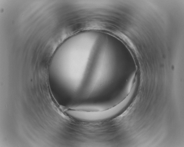 X0000088741337200706141653